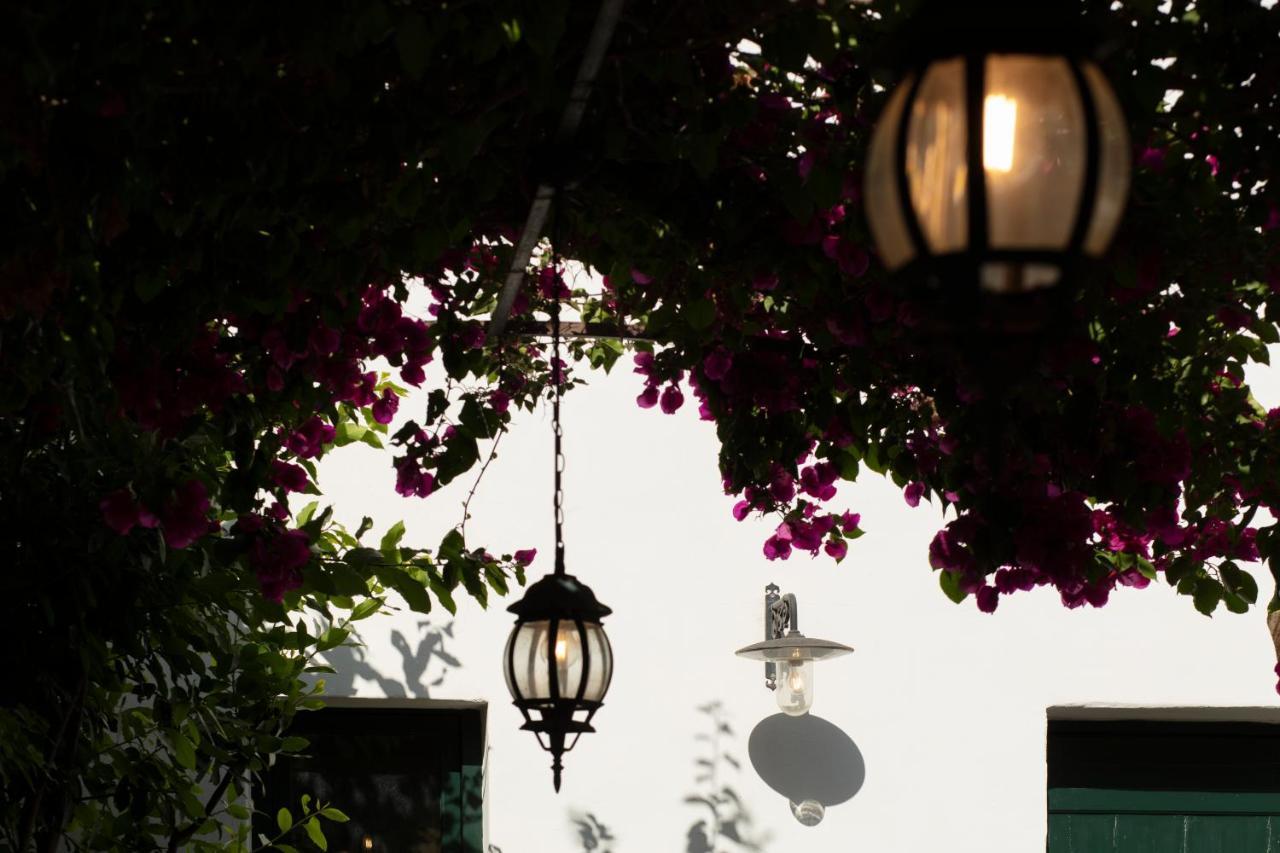 Don Alfonso Dimora D'Epoca Bed & Breakfast Racale Dış mekan fotoğraf